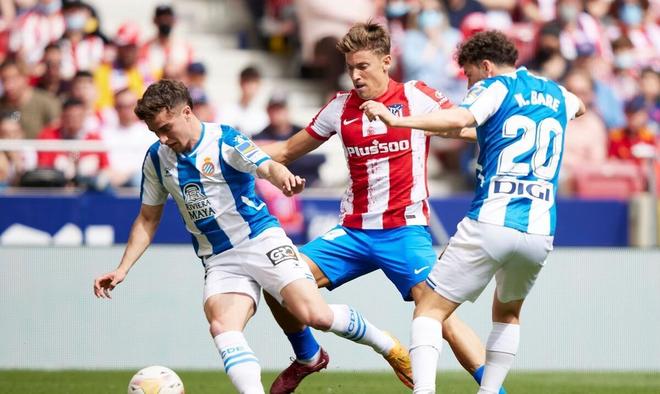 视线情况 视线情况