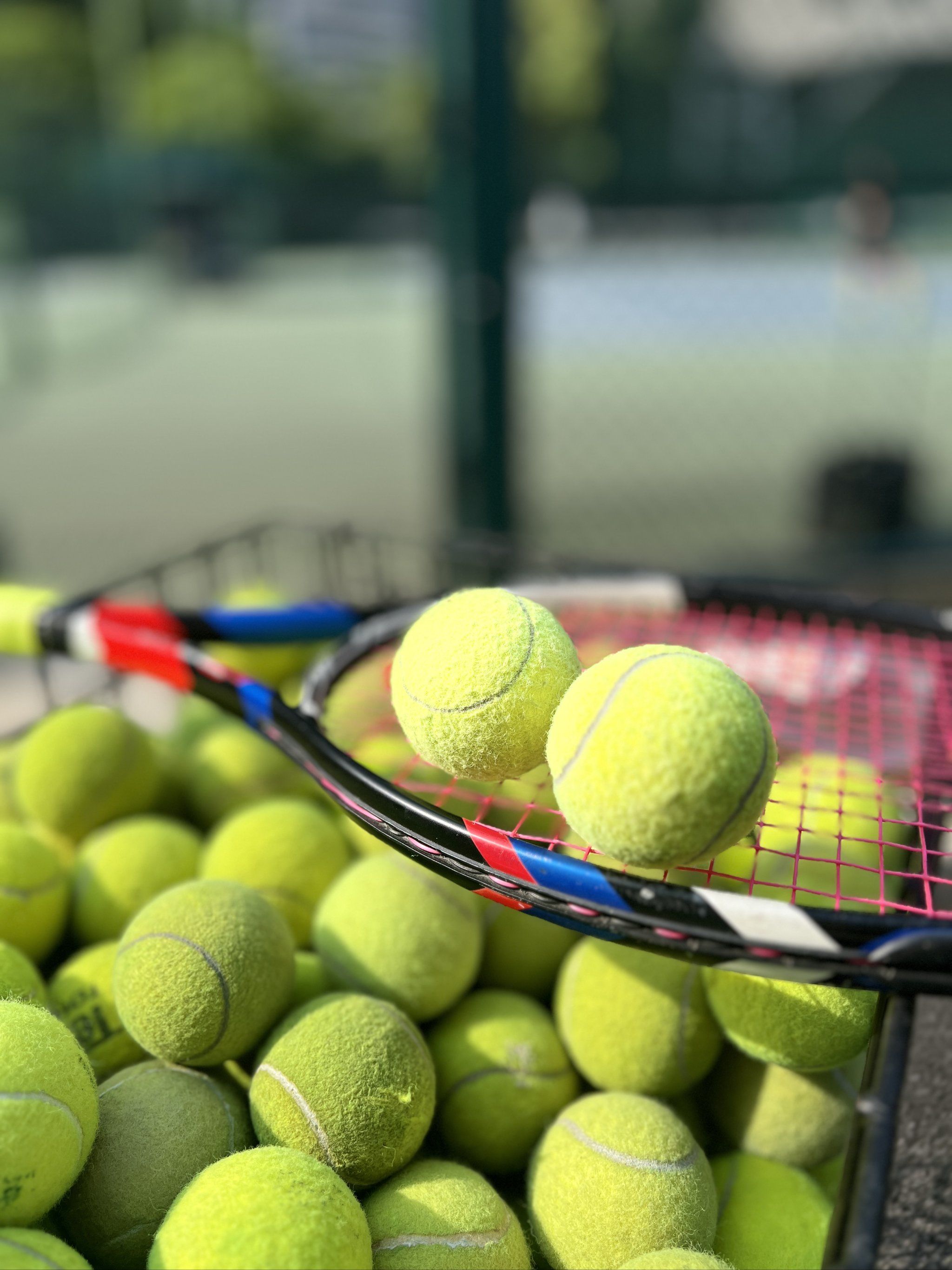 看到的是他 看到的是他