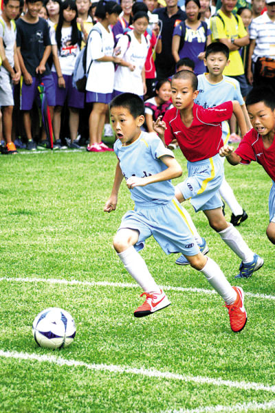 效率与影响 效率与影响